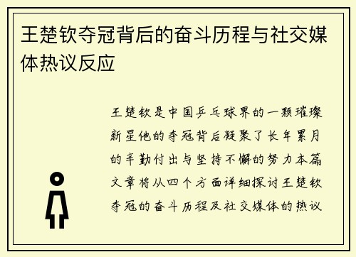 王楚钦夺冠背后的奋斗历程与社交媒体热议反应